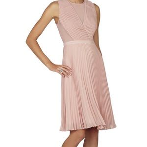 Knee length BCBG shadow blush dress